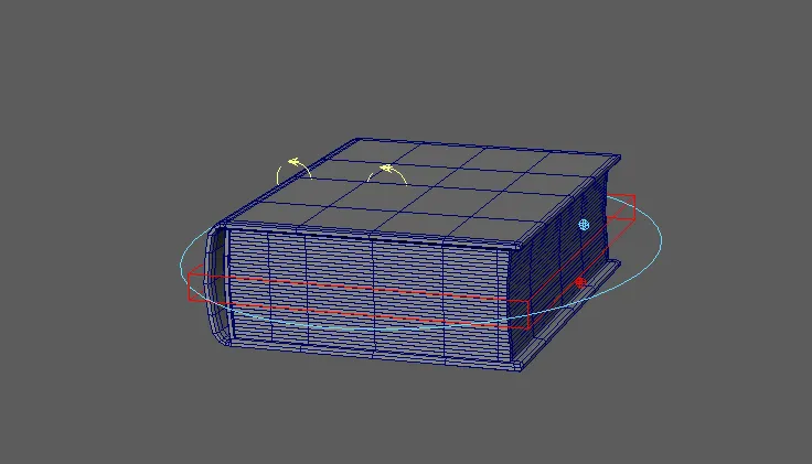 Rig capture: a book and its controls